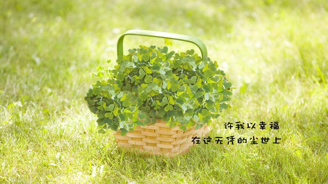 网红商城